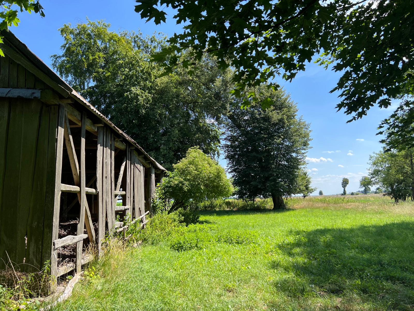 Stodoła – widok 1